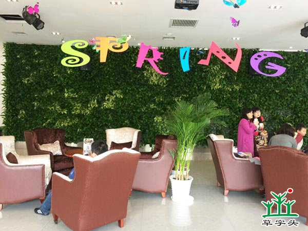 長(zhǎng)沙陽(yáng)光100——立體綠化、垂直綠化、墻體綠化、植物墻