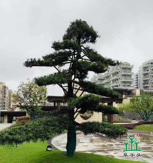 湖南草字頭生態(tài)環(huán)境建設有限公司,人造草坪假草皮,湖南雨水收集處理工藝